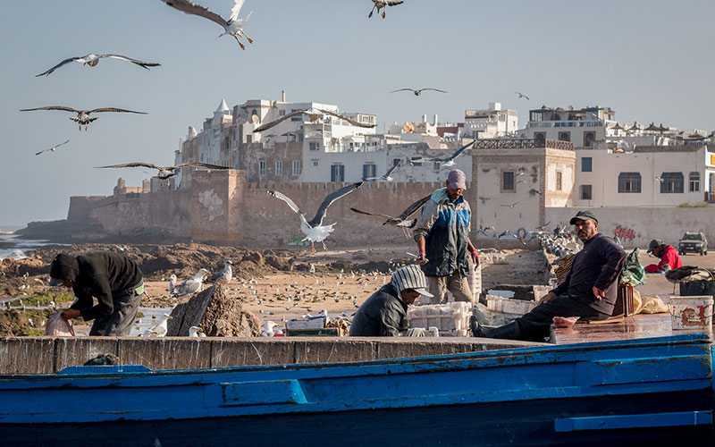 Essaouira Fishing Port