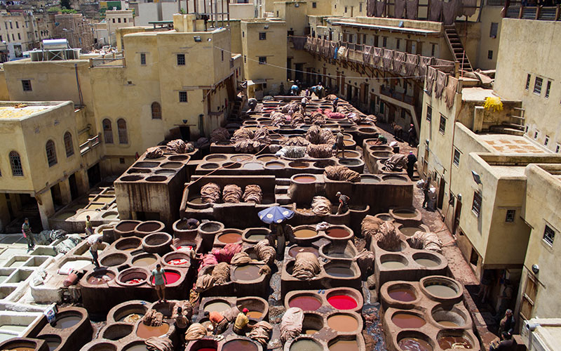 Chouara Tannery (Fes) 