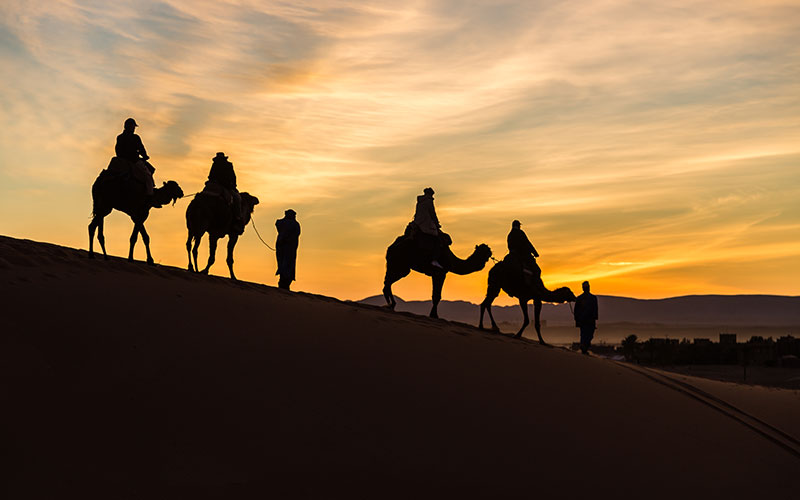 Merzouga Dunes Sunset Camel Ride