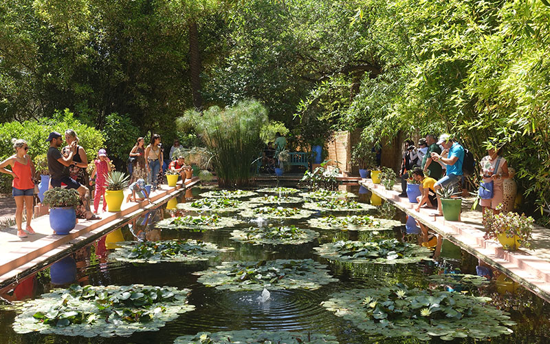 Jardin Majorelle