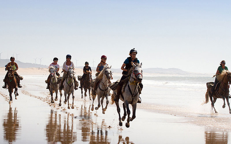 Essaouira Beach Horse Riding