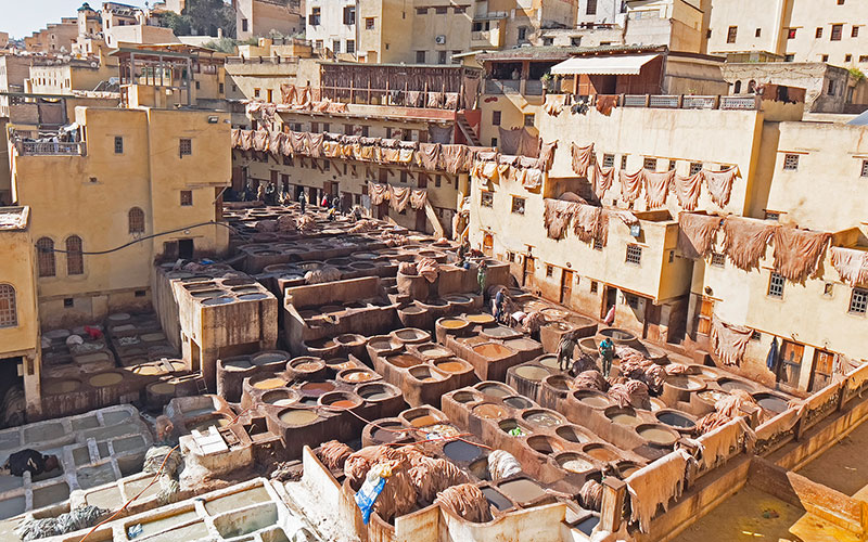 Chouara Tannery Fez