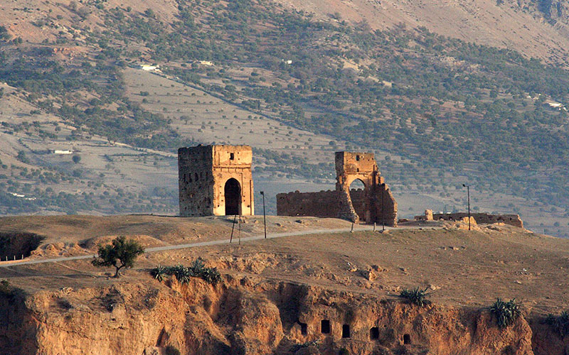 Merenid Tombs, Fez