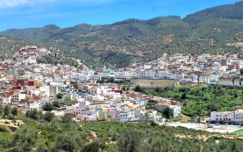 Moulay Idriss Zerhoun