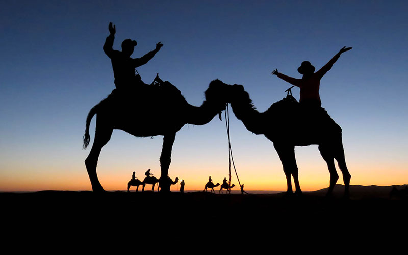 Sunrise Camels, Merzouga