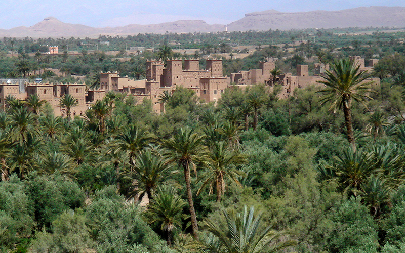 the Skoura Oasis in Ouarzazate