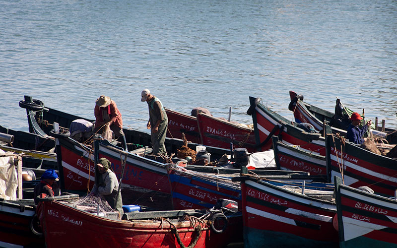 Boat Tour, El Jadida