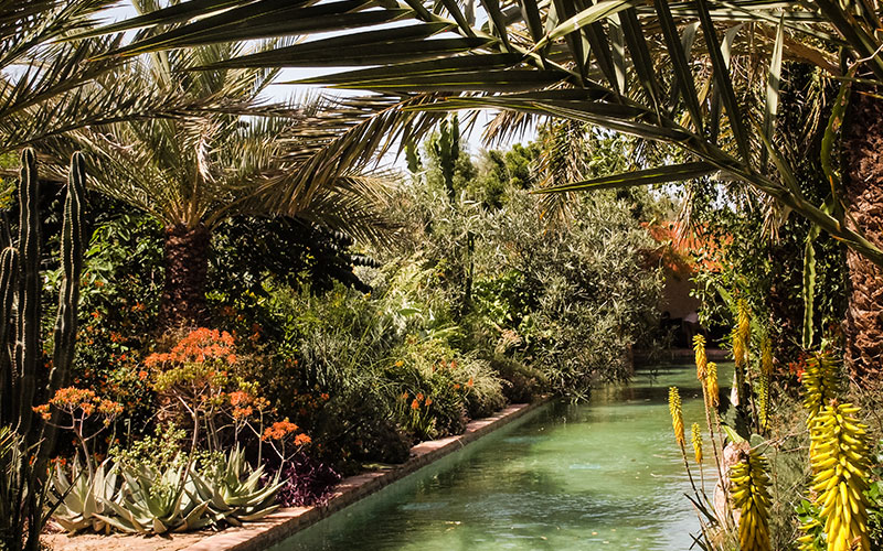 Gardens - Taroudant