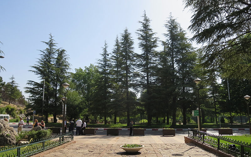 City Tour in Ifrane