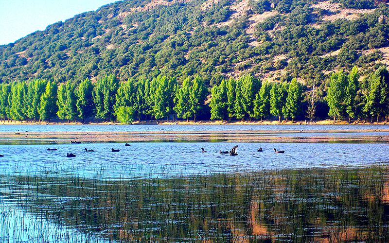 Lake Daït Aoua (Ifrane)