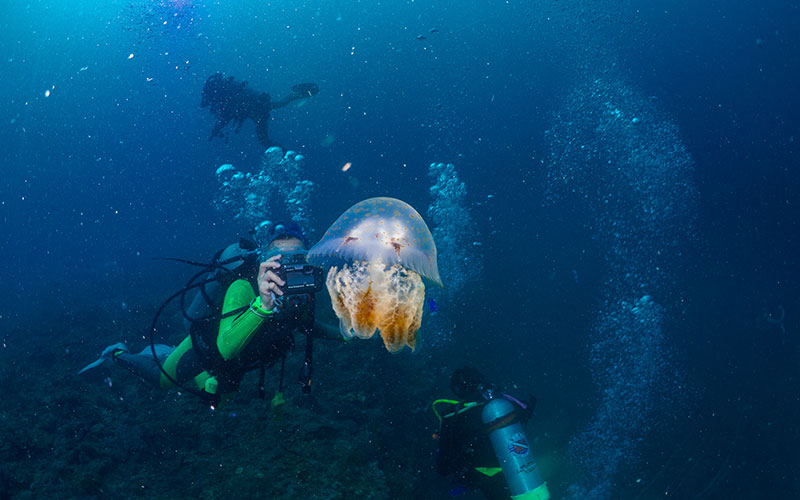 scuba diving in Al Hoceima