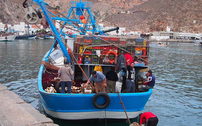 Al Hoceima fishing harbour