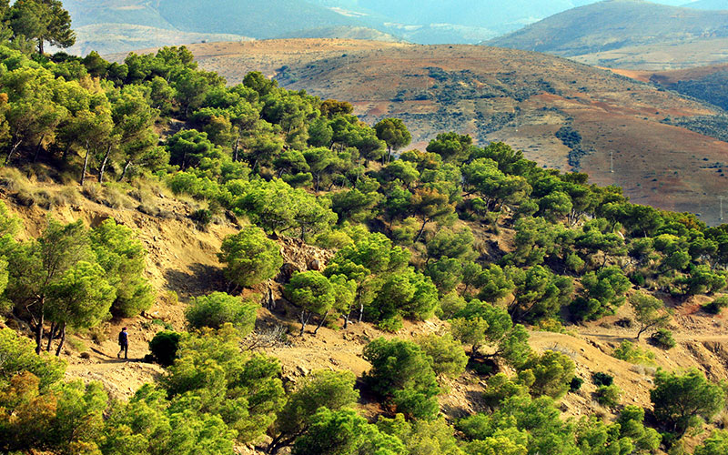 Al Hoceima National Park. Morocco.