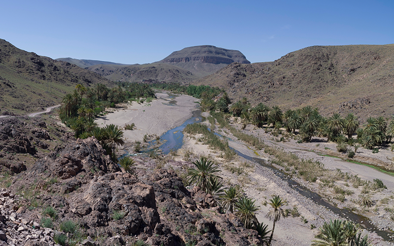 Oasis de Fint