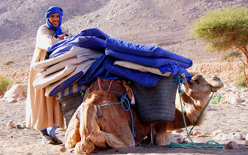 Desert Trek in Ouarzazate