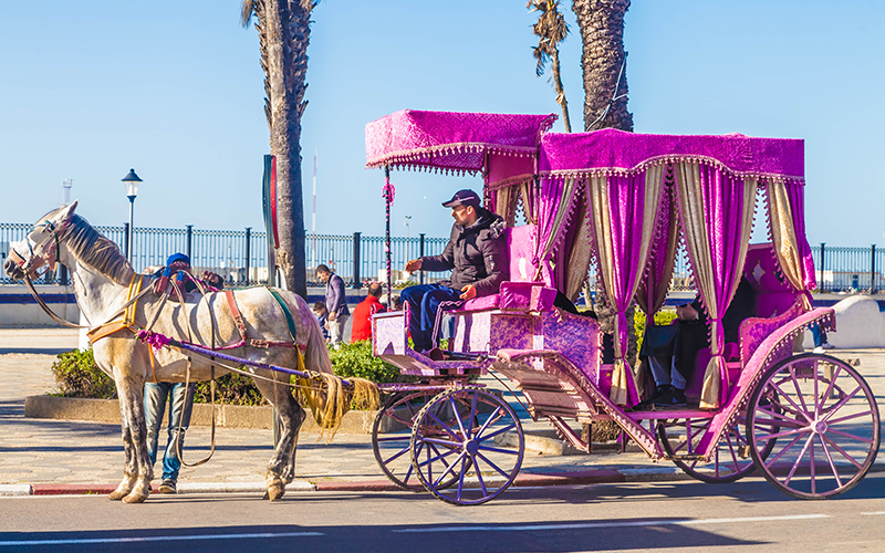 Horse-Drawn Carriage Ride Through Tetouan’s