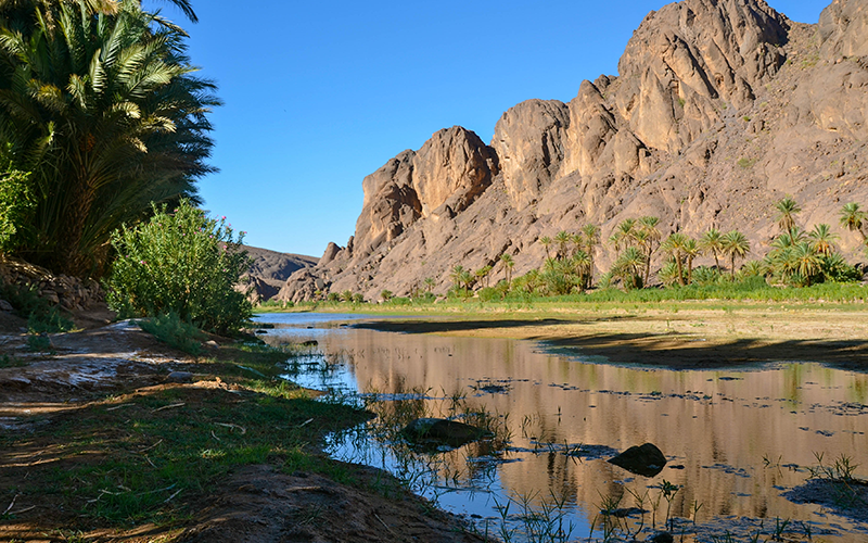 Oasis Fint (Ouarzazate)