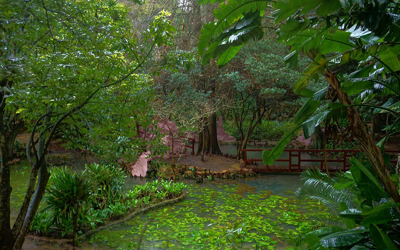 The Exotic Gardens of Bouknadel in Rabat