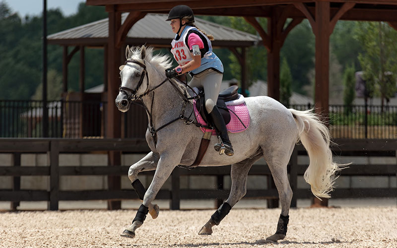  Agadir Equestrian Club