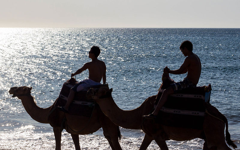 Camel Ride in Tangier