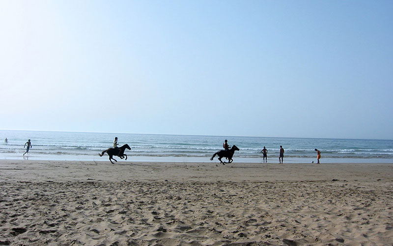 Horseback Riding on the Beach of Asilah