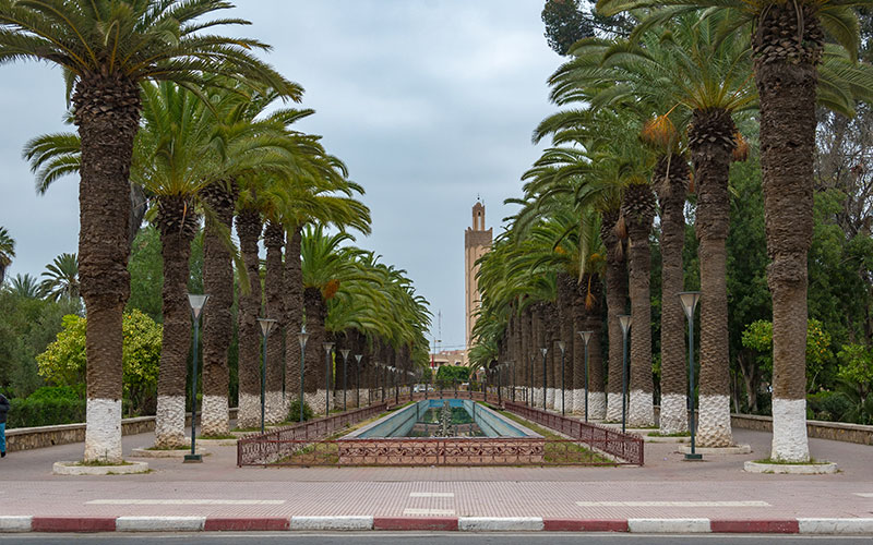 Palm gardens Taroudant