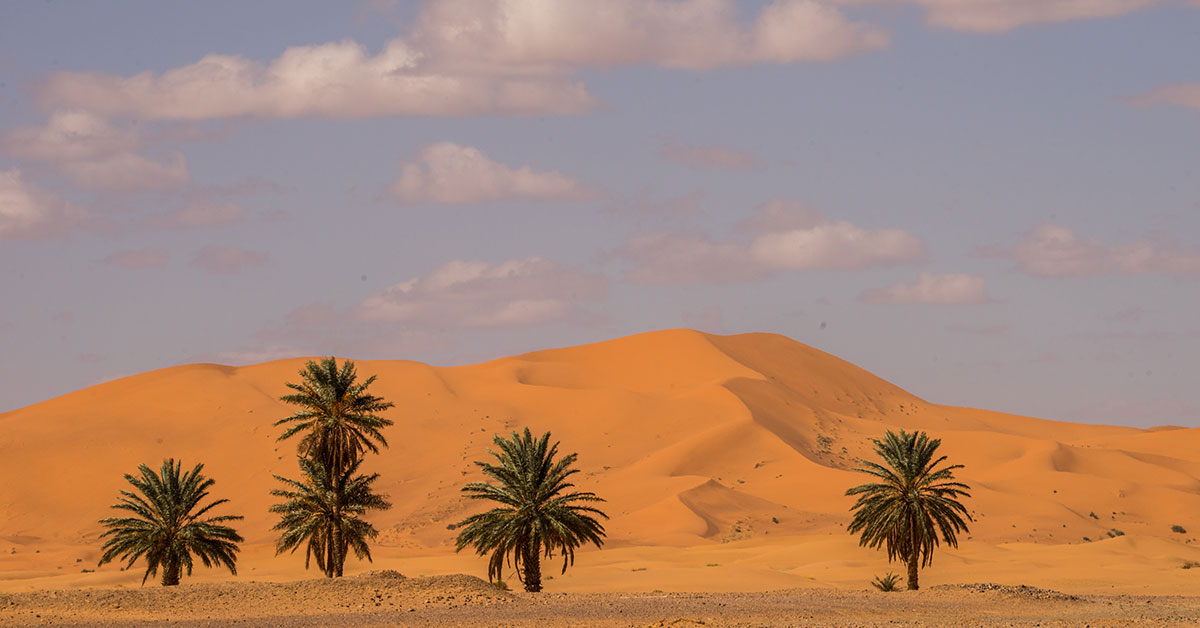 Things to do in Merzouga