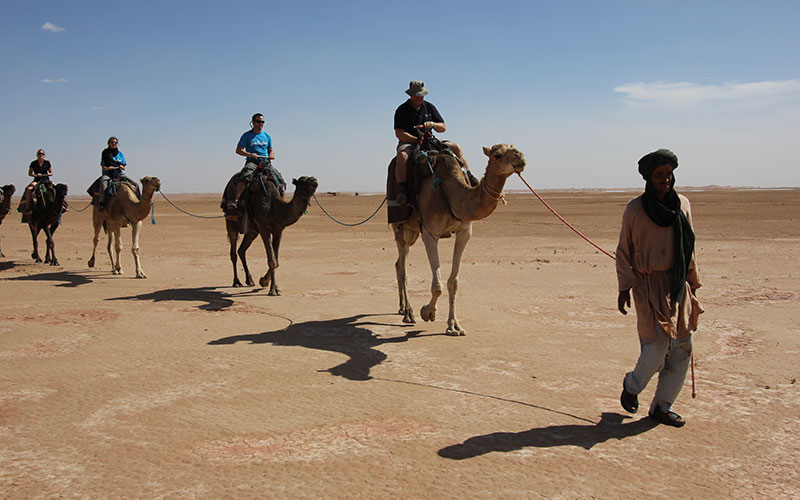 camel trek, Dakhla
