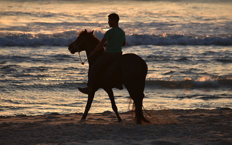 horseback riding, Dakhla