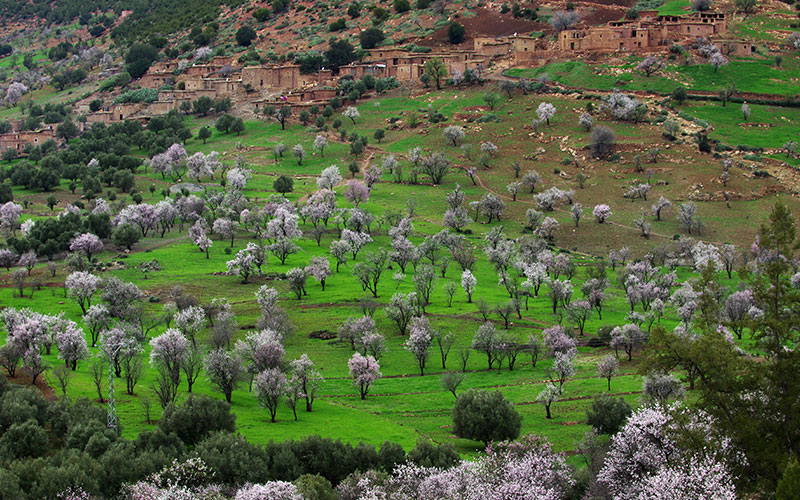 Spring time in ouzoud falls