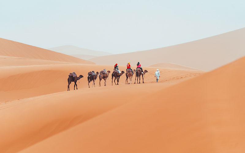 Camel trek with tourists through the sahara desert in Merzouga, Morocco
