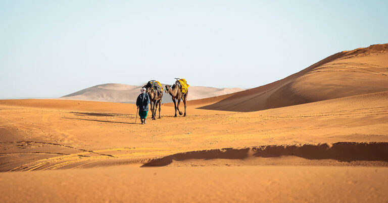 Visiting Morocco in November: Weather, Packing Tips & Activities