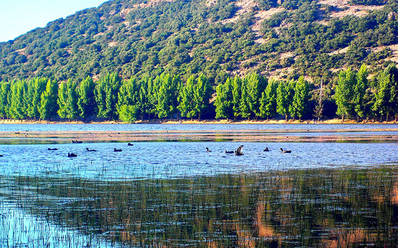 Dayet Aoua Lake