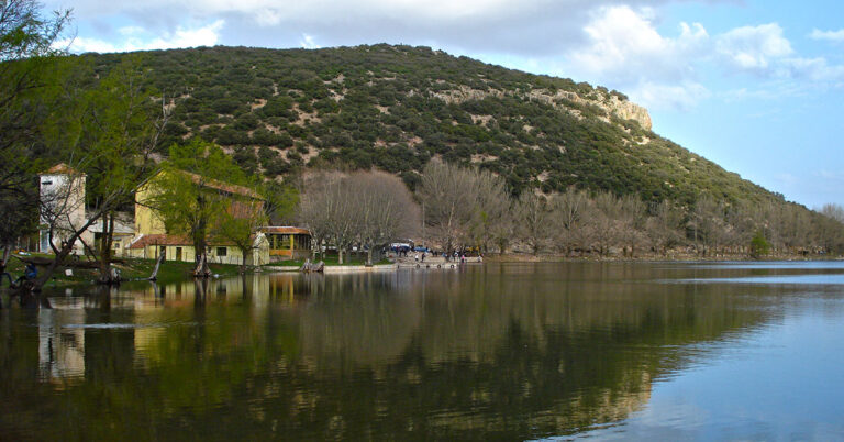 Dayet Aoua Lake: A Seagull's Haven