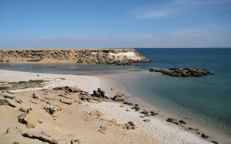 Dragon Beach: Dakhla’s Best Beach