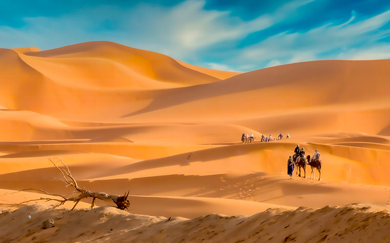 Caravan in the Sahara Desert in Morocco
