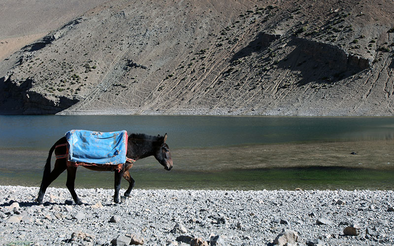 Tamda Lake in Ouarzazate