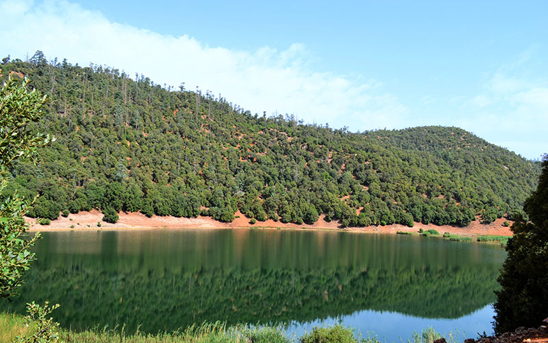 Tiguelmamine Lakes: A Berber Oasis in the Moyen Atlas