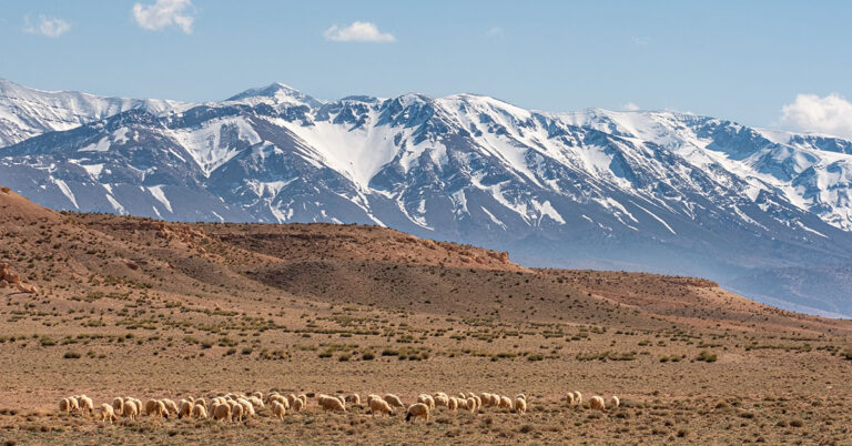 Jebel Ayachi: Exploring Morocco's Eastern High Atlas Majesty