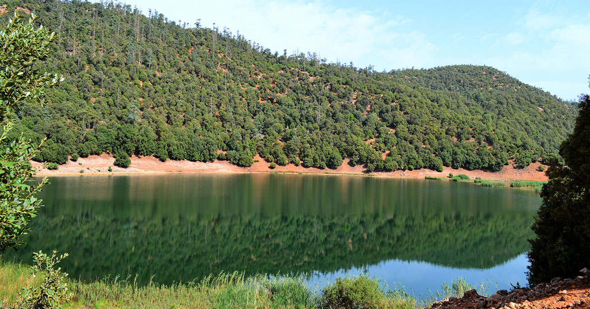 Tiguelmamine Lakes: A Berber Oasis in the Moyen Atlas