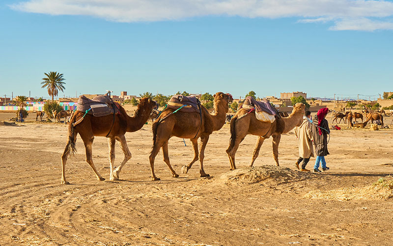 Marrakesh, Morocco 