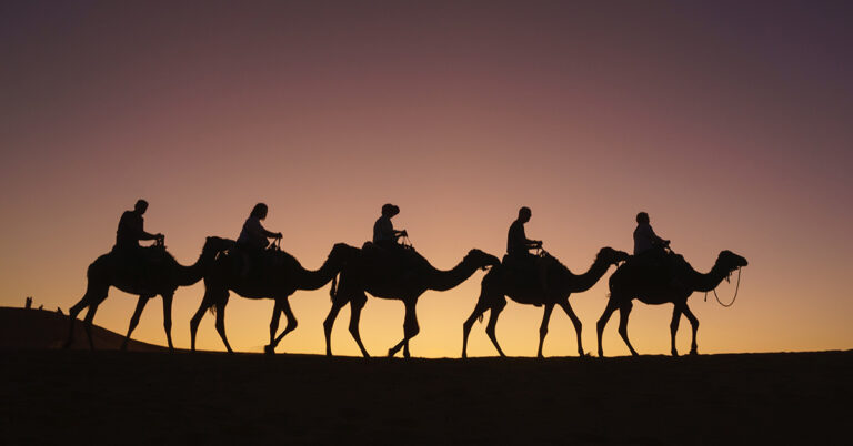 Moroccan Sahara Desert: Tips, Tricks, and Must-Do's