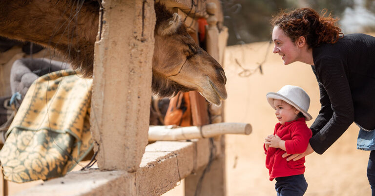 The Comprehensive Parent’s Guide for Traveling in Morocco